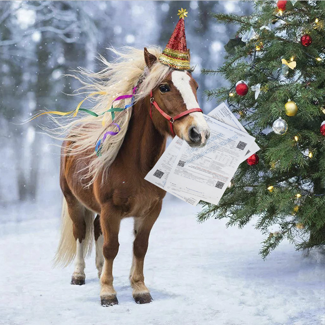 Год Лошади: начните с порядка в делах!