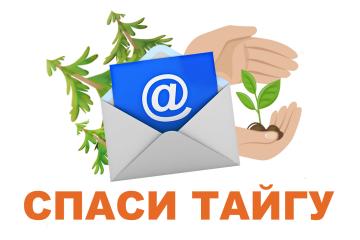 Магаданэнерго запустило экологический проект «Спаси тайгу»